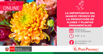 (Taller Online Gratuito) MINAGRI: La importancia del manejo técnico en la producción de flores y plantas ornamentales