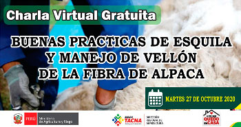 Charla Virtual Gratuita: Buenas Practicas de Esquila y Manejo de Vellón de la Fibra de Alpaca