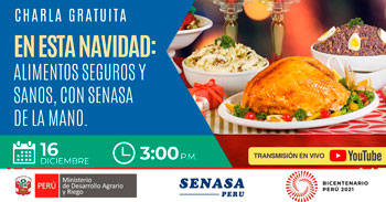 (Charla Virtual Gratuita) SENASA: Consumo alimentos seguros y sanos en esta navidad