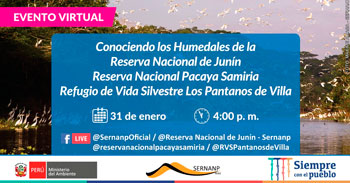 Conoce los humedales de la reserva nacional de Junín, Pacaya samiria y los pantanos de villa 