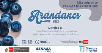 (Taller Virtual Gratuito) SENASA: Exportación de arándanos 2021-2022