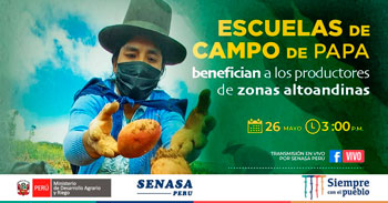 (Charla Virtual Gratuita) SENASA: Escuelas de campo de papa que benefician a los productores de zonas altoandinas