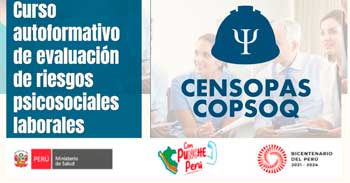 Curso online Autoformativo "Evaluación de Riesgos Psicosociales Laborales" del INS 