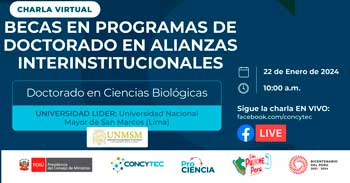 Charla informativa online Becas en Programas de Doctorado en Alianzas Interinstitucionales