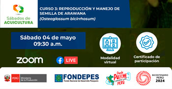 Curso online gratis "Reproducción y Manejo de Semilla de Arawana (Osteoglossum bicirrhosum)" de FONDEPES