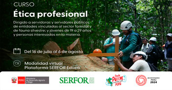 Curso online gratis  "Ética profesional" del SERFOR