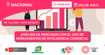 Seminario online "Análisis de mercados con herramientas de inteligencia comercial" 