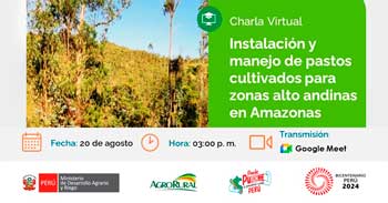 Charla online gratis"Instalación y manejo de pastos cultivados para zonas alto andinas en Amazonas"