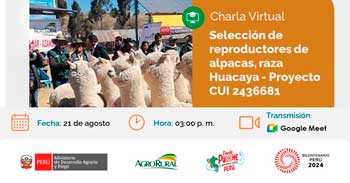 Charla online gratis"Selección de reproductores de alpacas, raza Huacaya -Proyecto"