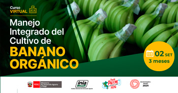 Curso online "Manejo Integrado del Cultivo de Banano Orgánico" del INIA