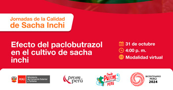 Capacitación online sobre "Efecto del paclobutrazol en el cultivo de sacha inchi" de PromPerú