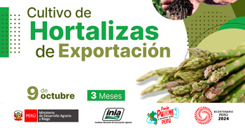 Curso online "Cultivo de Hortalizas de Exportación" del INIA