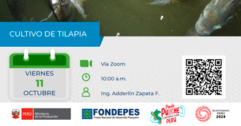 Curso online gratis  "Cultivo de Tilapia"  del FONDEPES