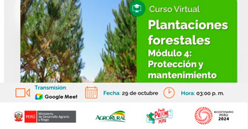 Curso online "Plantaciones forestales - Módulo 4: Protección y mantenimiento"  de Agro rural