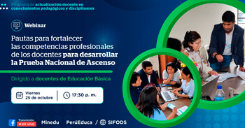 Webinar online Pautas para fortalecer las competencias profesionales de los docentes para desarrollar la Prueba Nacional