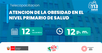 Capacitación online " Atención de la obesidad en el nivel primario de salud " del  MINSA