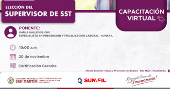 Capacitación online gratis "Elección del supervisor de SST" del DRTPE  de San Martín