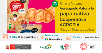 Charla online "Agregando Valor a la Papa Nativa en la Cooperaiva AGROPIA - Pazos - Huancavelica"