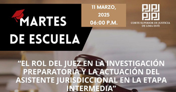  Conferencia online Rol del juez en la investigación preparatoria y la actuación del asistente jurisdiccional