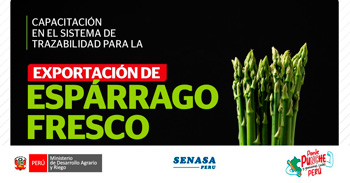 Capacitación presencial "Exportación de esparrago fresco" de SENASA