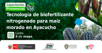 Capacitación presencial  "Tecnología de Biofertilizante Nitrogenado para Maíz Morado en Ayacucho" del INIA