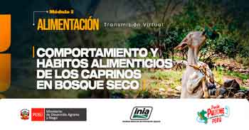 Capacitación online  "Comportamiento y hábitos alimenticios de los caprinos en bosque seco"  del INIA