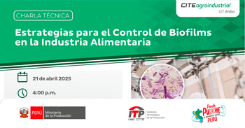  Charla online  Estrategias para el control de biofilms en la industria alimentaria CITEagroindustrial UT Ambo