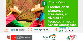 Charla virtual Producción de plantones forestales en viveros de tecnología media en la sierra alto andina