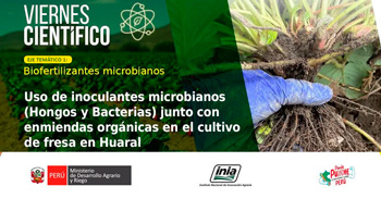 Evento online Uso de inoculantes microbianos (hongos y bacterias) junto con enmiendas orgánicas en el cultivo de fresa