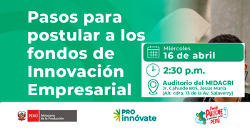 Taller presencial " Pasos para postular a los fondos de Innovación Empresarial"  de ProInnóvate