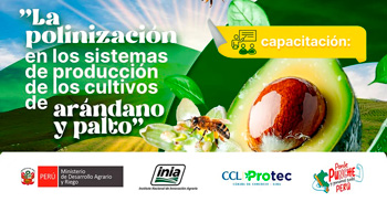  Capacitación presencial  "Polinización en los sistemas de producción de cultivos de arándanos y palto" 