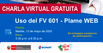 Charla online gratis "Uso del FV 601 - Plame WEB" de la SUNAT