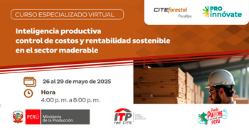   Charla online "Inteligencia productiva control de costos y rentabilidad sostenible en el sector maderable"