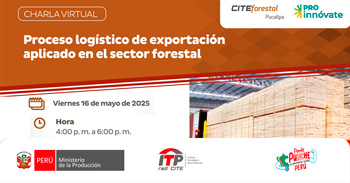  Charla online "Proceso logístico de exportación aplicado en el sector forestal" del CITEforestal Pucallpa