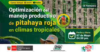 Curso online gratis "Optimización del manejo productivo de pitahaya roja en climas tropicales" del INIA