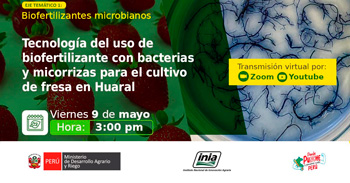 Evento online Tecnología de bacterias y micorrizas para el manejo de pudrición radicular en el palto del INIA