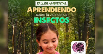 Taller presencial gratis "Aprendiendo sobre la vida de los insectos"