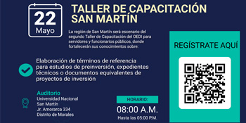  Taller presencial " OEDI en la Región San Martín"