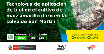 Capacitación online  Tecnología de aplicación de biol en el cultivo de maíz amarillo duro en la selva de San Martín