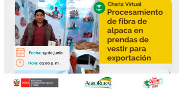 Charla online gratis "Procesamiento de fibra de alpaca en prendas de vestir para exportación" de Agro Rural