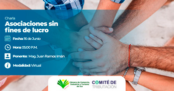  Charla online sobre "Asociaciones sin fines de lucro" de la Cámara de Comercio, Industria y Turismo de Ica