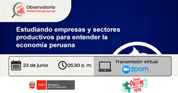 Conversatorio online "Estudiando empresas y sectores productivos para entender la economía peruana" de PRODUCE
