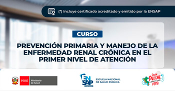  Curso virtual "Prevención primaria y manejo de la enfermedad renal crónica en el primer nivel de atención"