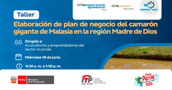  Taller presencial "Plan de negocio para el desarrollo sostenible del camarón gigante en Madre de Dios" del ITP