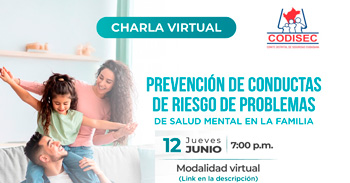  Charla online "Prevención de conductas de riesgo de problemas" de la Municipalidad de Magdalena del Mar