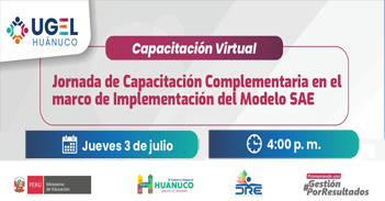  Capacitación online "Jornada de Capacitación Complementaria en el marco de Implementación del Modelo SAE" 