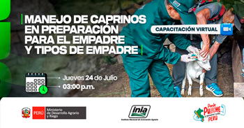 Capacitación online  "Manejo de caprinos en preparación para el empadre y tipos de empadre"  del INIA