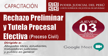  Capacitación online "Rechazo Preliminar y Tutela Procesal Efectiva (Proceso civil)"
