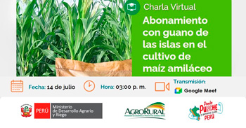 Charla online "Abonamiento con guano de las islas en el cultivo de maíz amilaceo" de Agro Rural