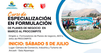 Curso semipresencial de Especialización en Formulación de Planes de Negocio en el marco del PROCOMPITE 